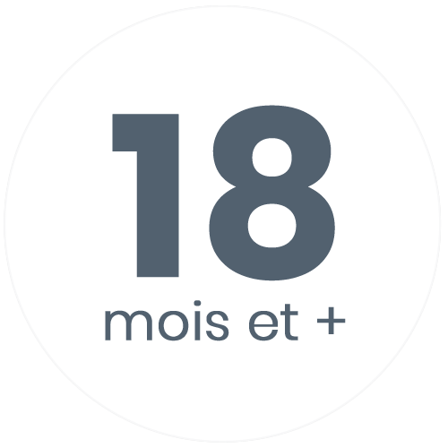 Instrument de musique éveil musical pour enfant de 18 mois et plus